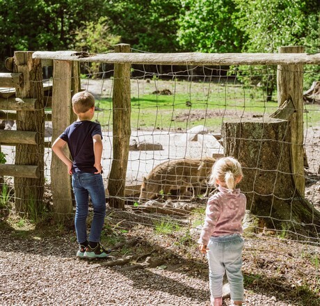 Zwei Kinder vor einem Wildschweingehege
